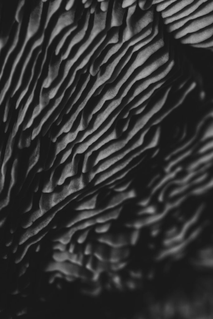 maxime gilbert b8khasvg3g unsplash